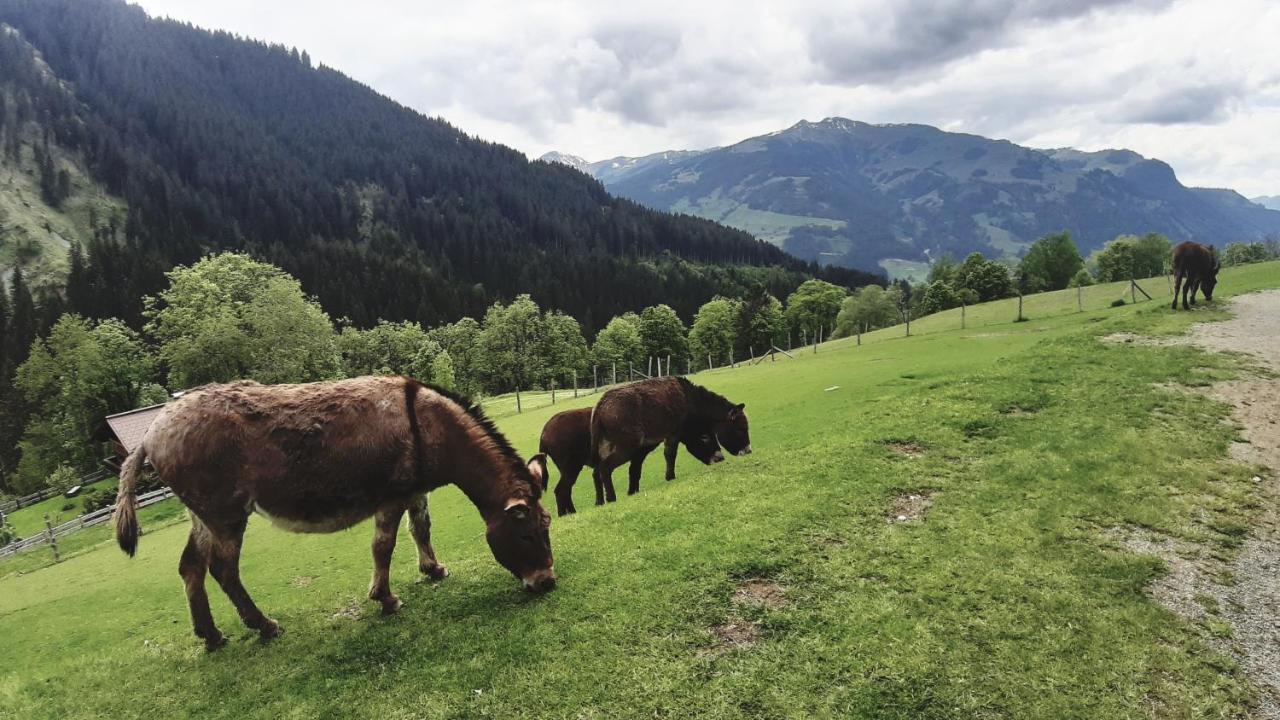 Privatzimmervermietung Foidlbauer Acomodação com café da manhã Oberndorf in Tirol Exterior foto